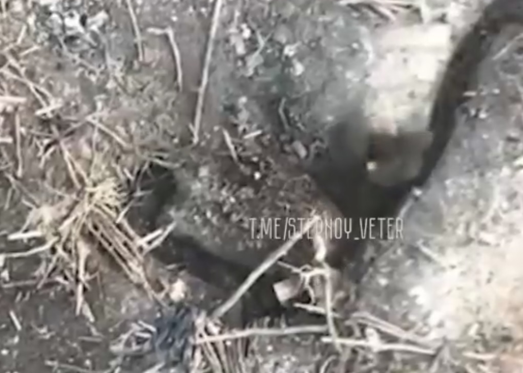 Warleaks 00592 Ranny ukraiński żołnierz od wybuchu granatu wczołguje się do prowizorycznej norki