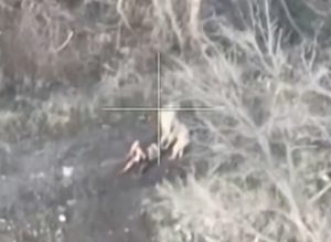 Warleaks 00945 Z jednego rannego Ukraińca robi się trzech po ataku drona kamikadze FPV