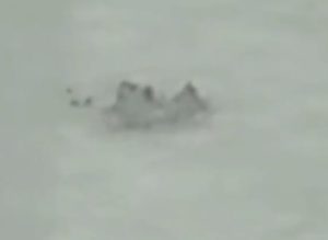 Warleaks 01010 Korygowanie ostrzału artyleryjskiego po piechocie ukraińskiej - dron, podczerwień