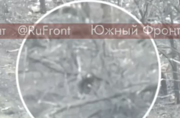 Warleaks 01402 Rosyjski żołnierz zestrzelił kijem drona FPV Sił Zbrojnych Ukrainy