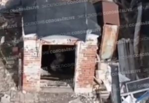 Warleaks 2968 Ukraińcy pod Pokrowskiem wiedząc, że wisi nad nimi dron schronili się w piwniczce. Nie wiedzieli, że Rosjanie wykorzystają to aby wysłać im robota z minami TM62