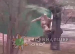Warleaks 2979 Kopniak w twarz dla opornego rekruta na Ukrainie